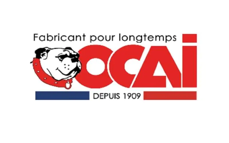 Logo OCAI